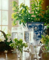 Vintage glassware with Spurge and Hellebore flowers
