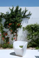 Modern garden furniture