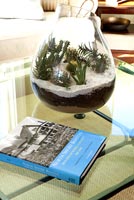 Cacti in glass vase