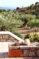 Terrace overlooking Olive grove, Greece