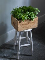 Herbs in wooden crate