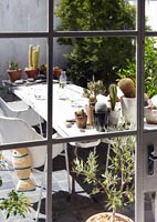 Patio table with pot plants