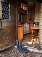 Dog lying by kitchen door