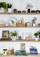 Collectibles on wooden shelves