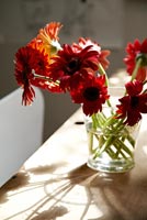 Gerbera flowers in glass beaker
