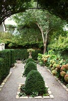 Formal garden with topiary