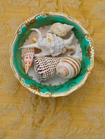 Shell collection
