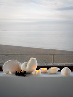 Shell shaped accessories on windowsill