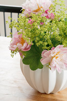 Peonies and Ladys Mantle flowers in white vase