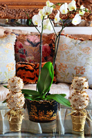 Orchids on glass coffee table