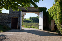 View through gate to vineyard
