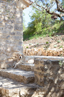 Pet dog lying on stone steps
