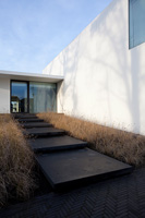 Minimal garden planted with grasses