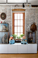 Taxidermy and toy display