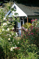 Summerhouse surrounded by flowering shrubs