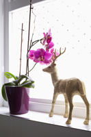 Reindeer ornament on windowsill