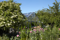 Mature garden with colourful borders and greenhouse
