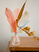 Dyed feathers in glass vase