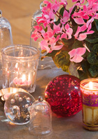 Christmas decorations with Cyclamen