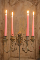 Pink candles in ornate candelabra