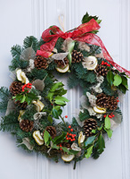 Christmas wreath with conifer foliage, holly sprigs and pine cones