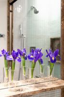 Irises on bathroom ledge