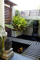 Compact garden with water features