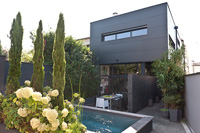 Contemporary house and garden with Hydrangeas, conifers and bamboos