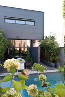 Contemporary house and garden with Hydrangeas and bamboos