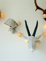 Wall mounted accessories and lighting