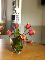 Roses in vase on dining room table