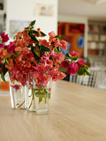 Bougainvillea flowers on kitchen counter
