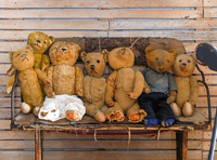 Vintage teddy bears