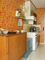 Vintage kitchen furniture