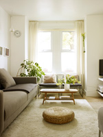 Modern living room

