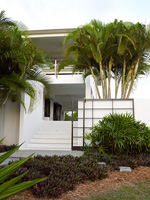 Contemporary house and tropical planting