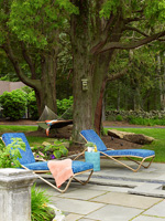 Blue loungers