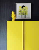 Contemporary yellow cupboard