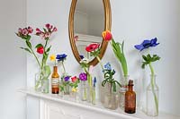 Colourful flowers in glass bottles