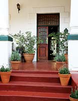 Entrance to house with pot plants