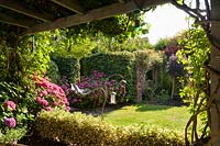 View of cottage garden from pergola