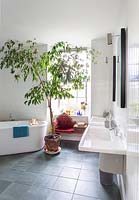 Modern bathroom with large houseplant