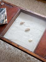 Wood and glass coffee table