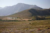 Langeberg mountains, South Africa