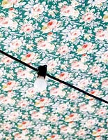 Floral wallpaper on ceiling
