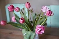 Pink Tulips on dining table