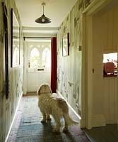 Dog in entrance hall