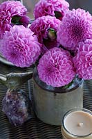 Pink Chrysanthemum flowers in earthenware pot