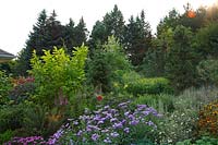 Colourful borders in country garden