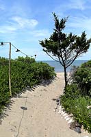 Sandy path to beach